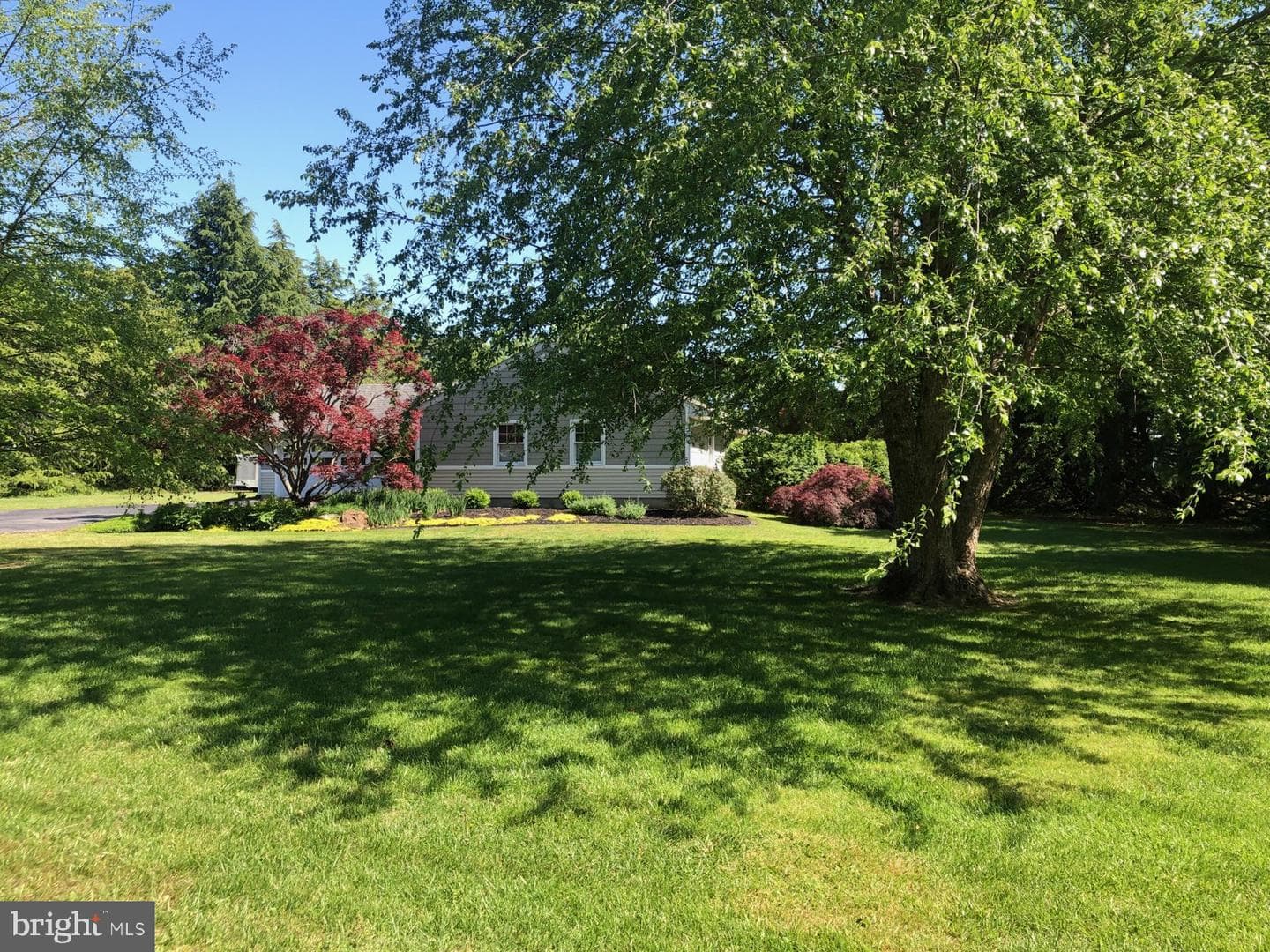 272 Hickory Ridge Drive photo 66
