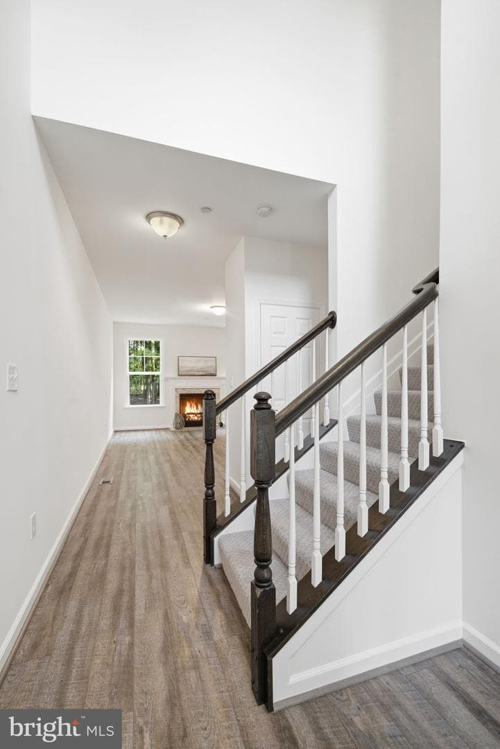 124 Riverside Drive photo 6