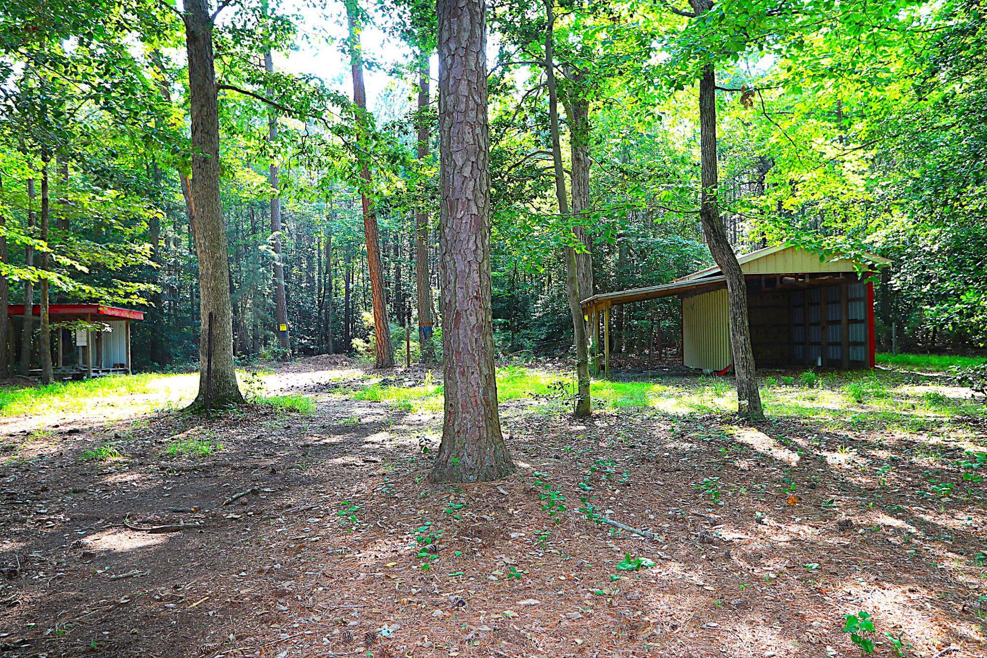 342 Wicomico Road photo 43