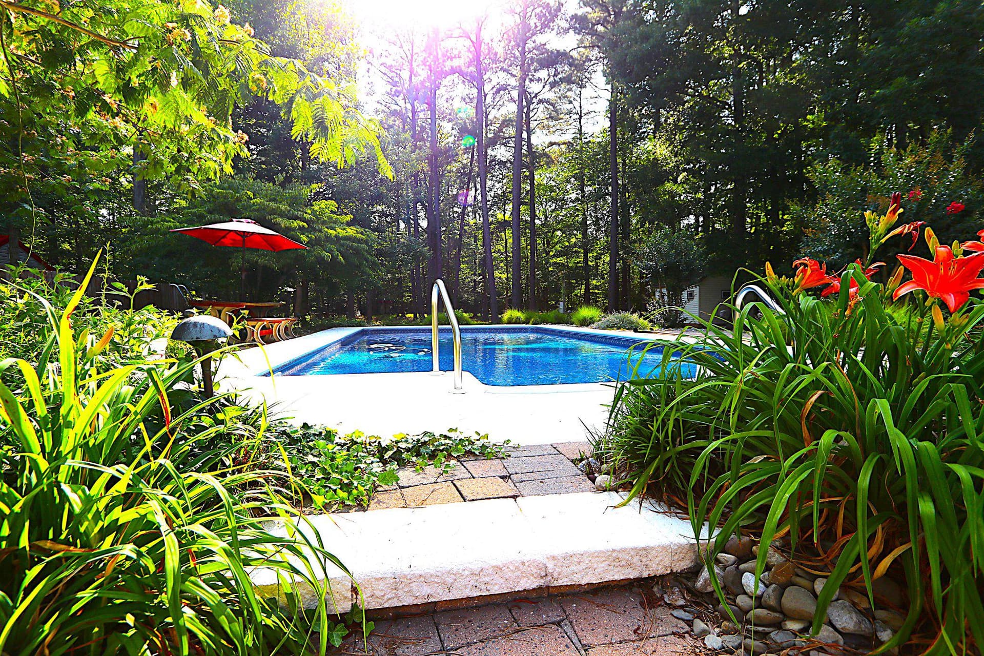 342 Wicomico Road photo 6