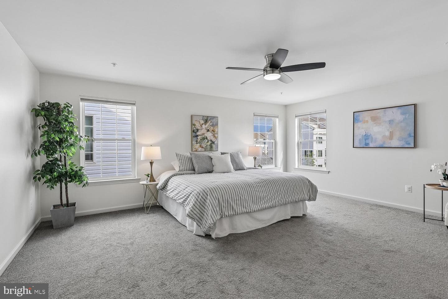 247 Breeding Boulevard photo 24