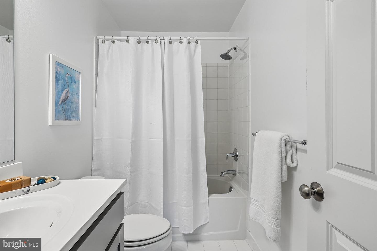 247 Breeding Boulevard photo 37