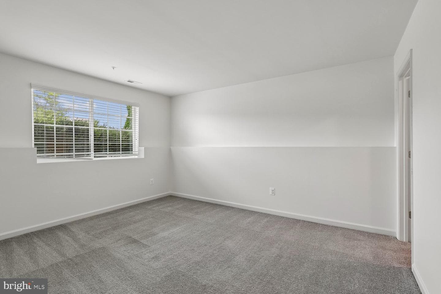 247 Breeding Boulevard photo 42