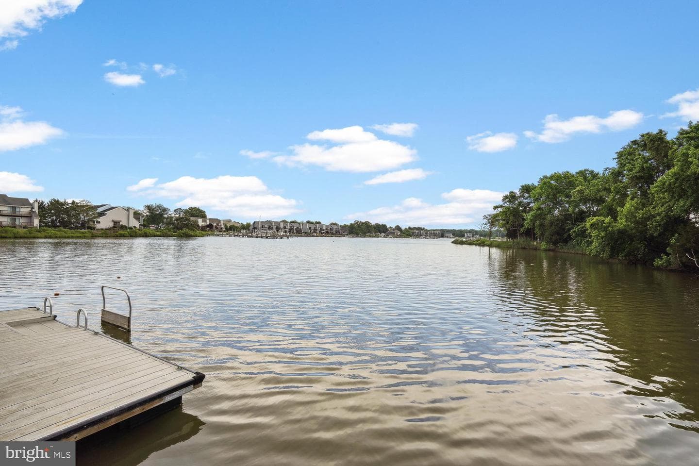 247 Breeding Boulevard photo 69