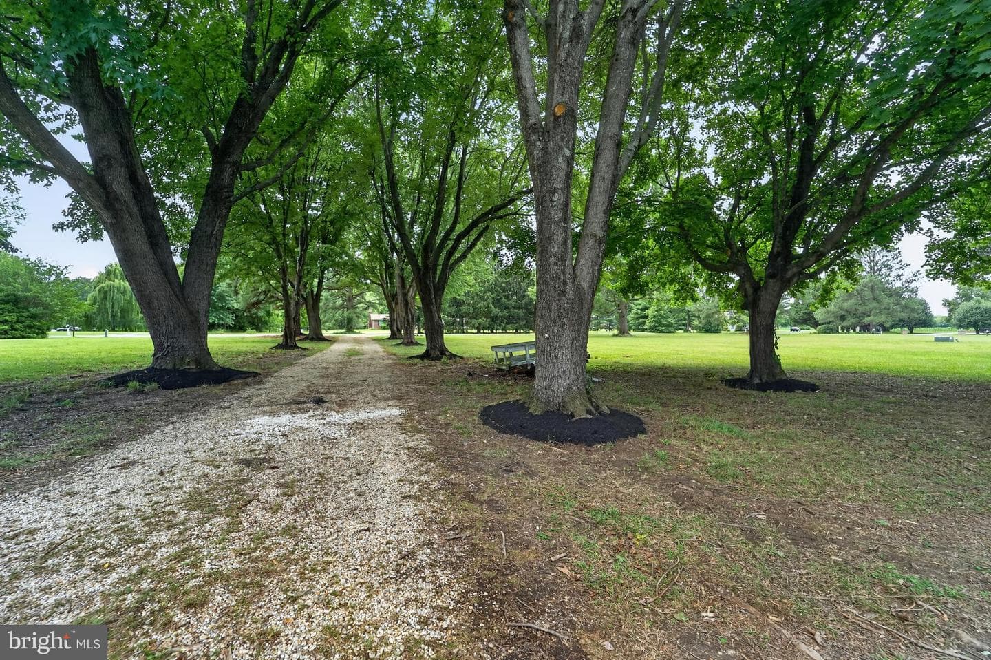 109 Governors Way photo 5