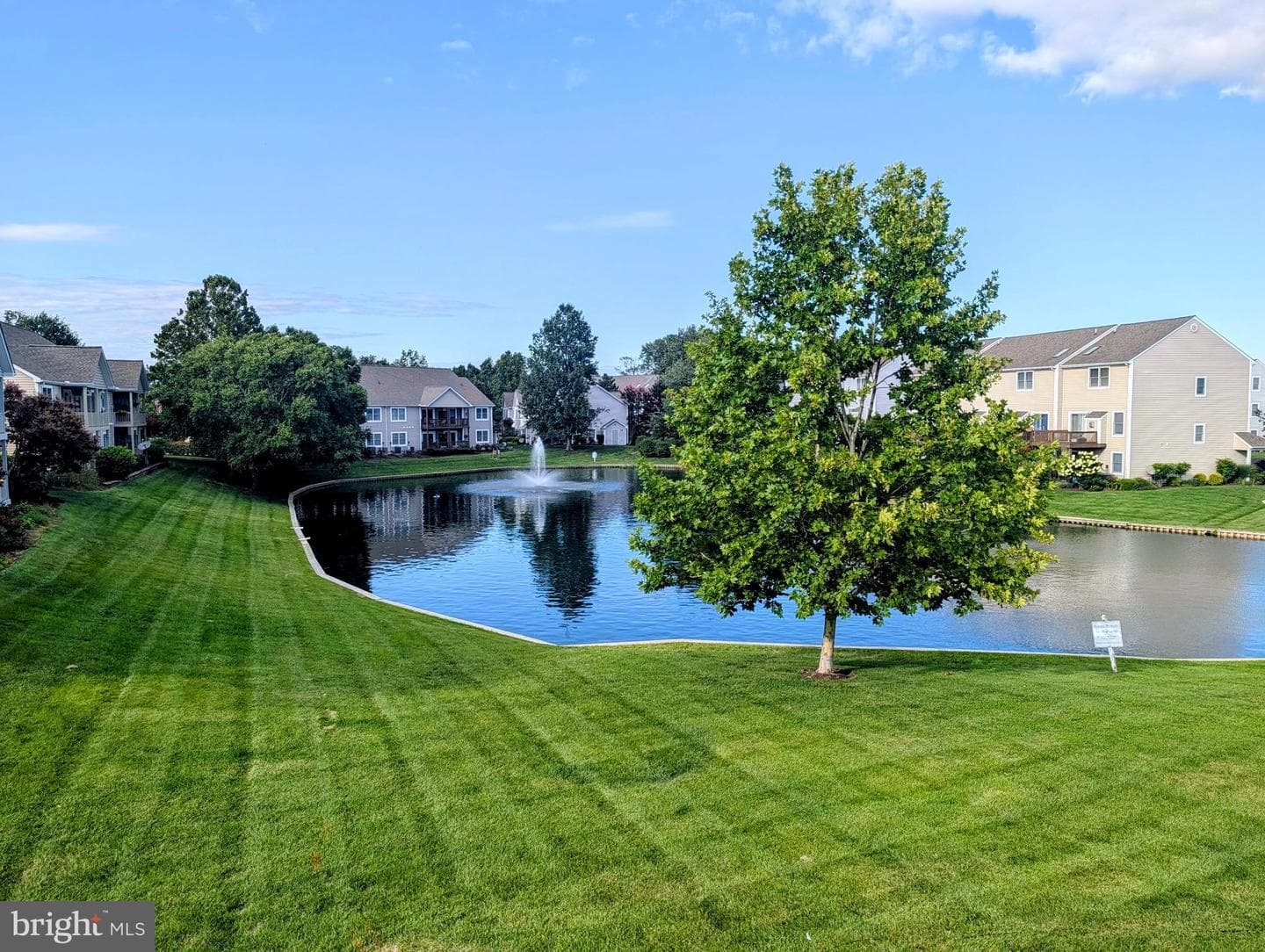 509 Teal Court #E photo 1