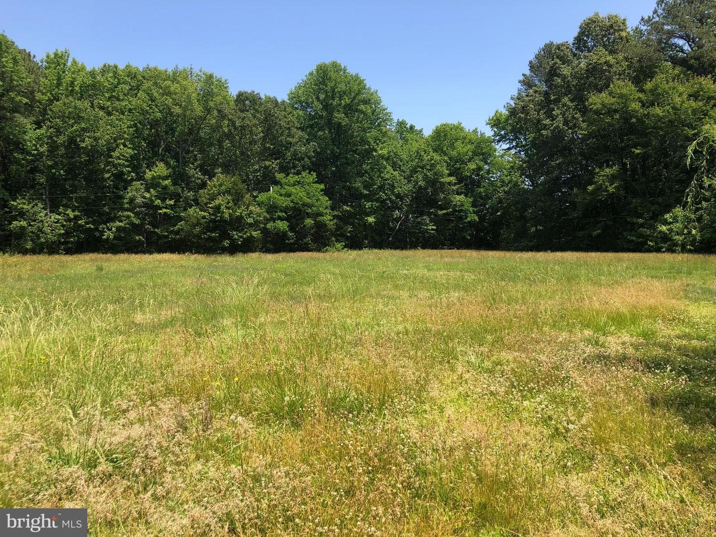 47891 Beachville Road photo 2