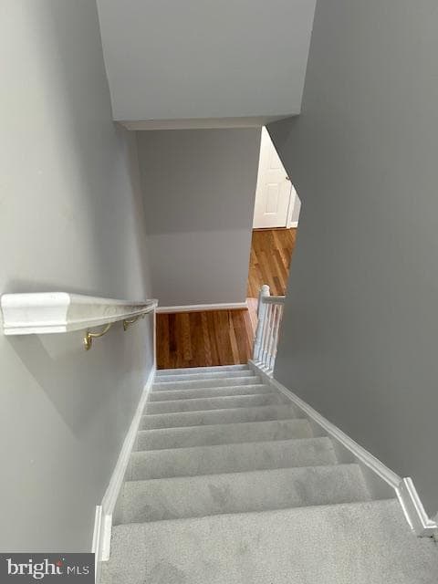 46119 Thoroughbred Way photo 41