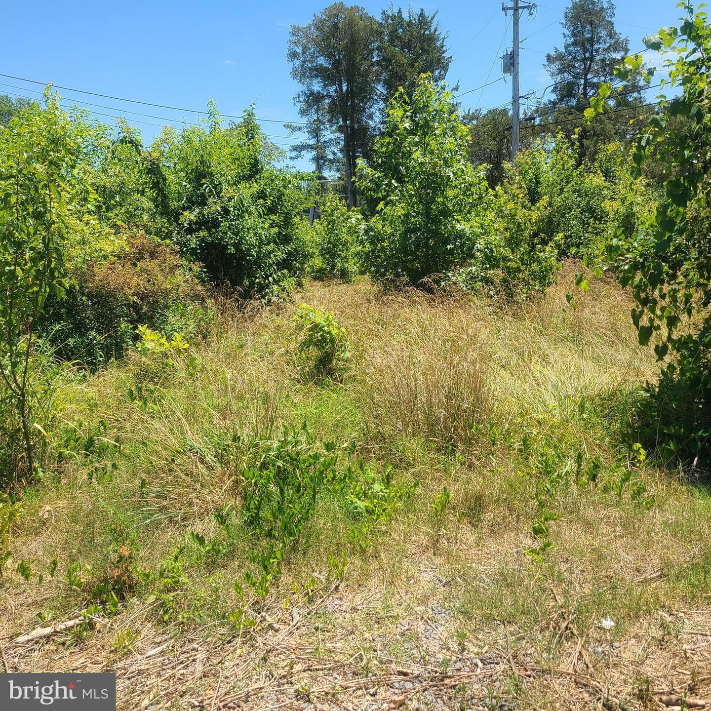 37824 Paul Ellis Road photo 15