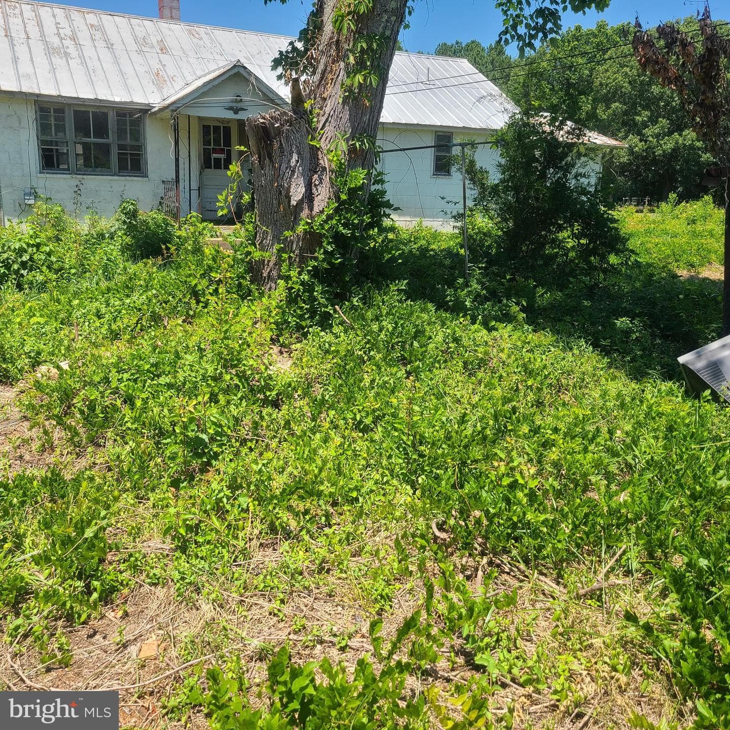 37824 Paul Ellis Road photo 6