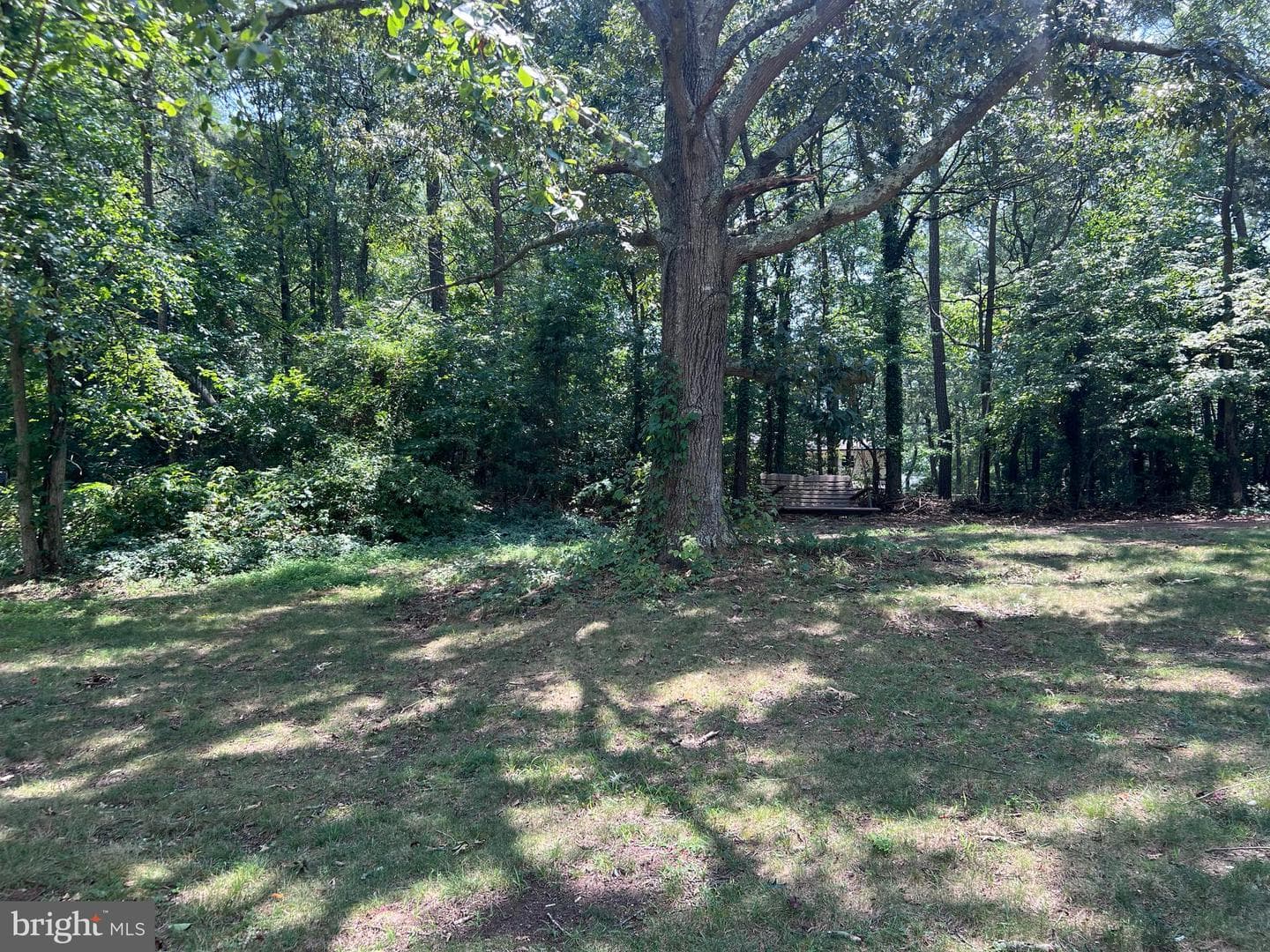 45815 Nancy Lane photo 4