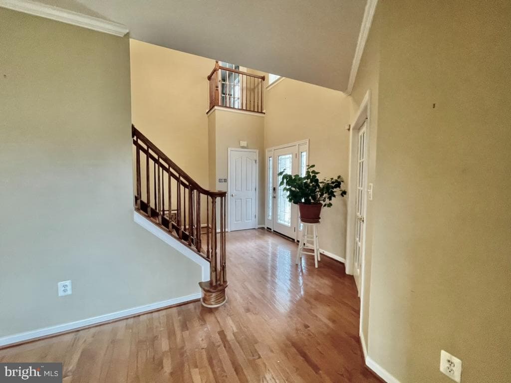 46350 Dunleigh Court photo 24