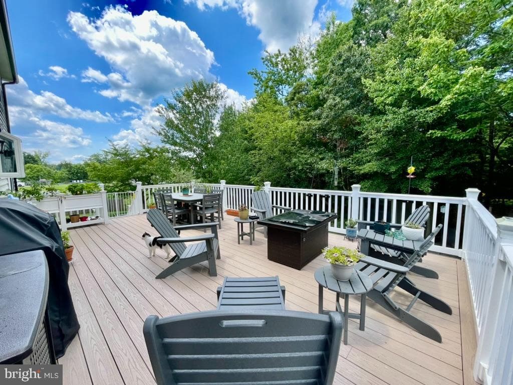 46350 Dunleigh Court photo 61