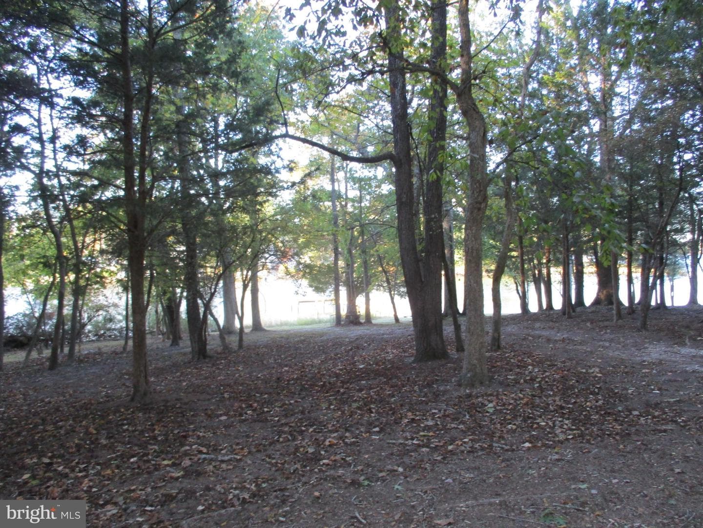Bayside Road photo 30