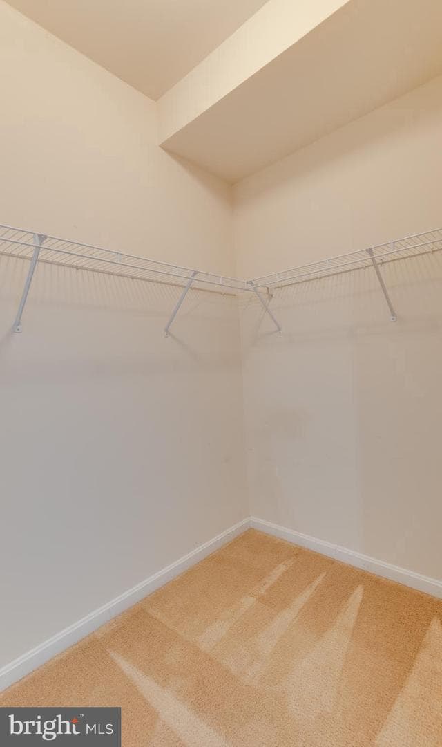 23580 F D R Boulevard #302 photo 19