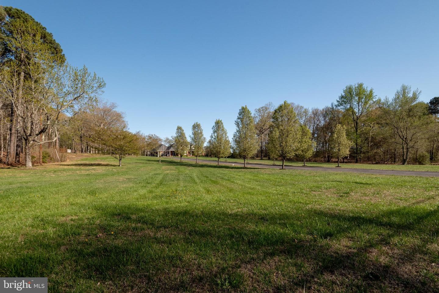 45201 Shetland Acres Drive photo 46