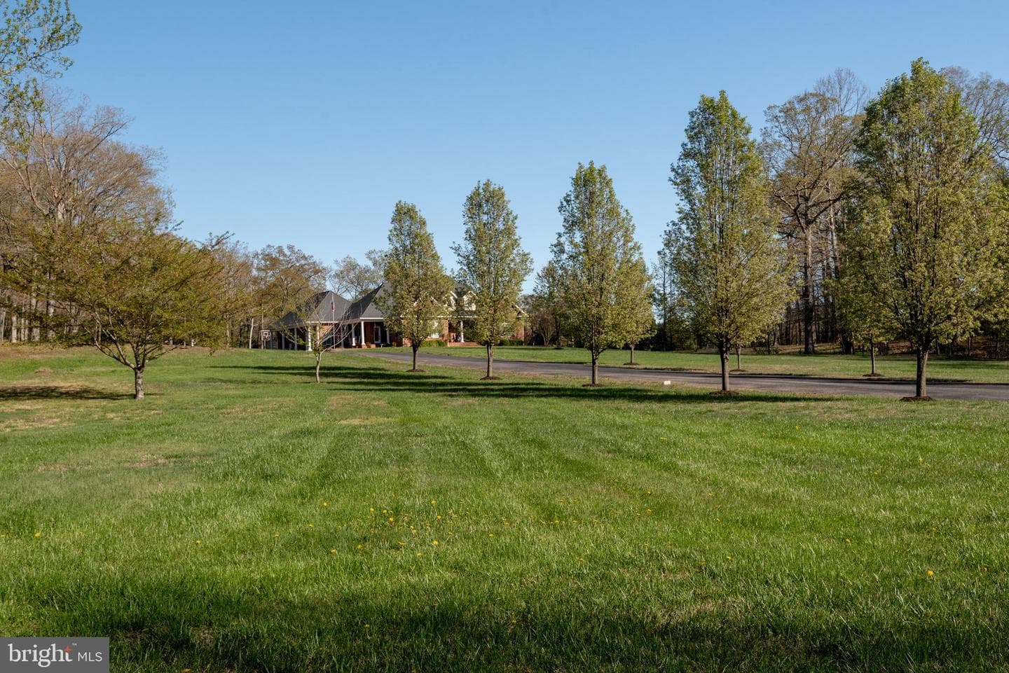 45201 Shetland Acres Drive photo 8