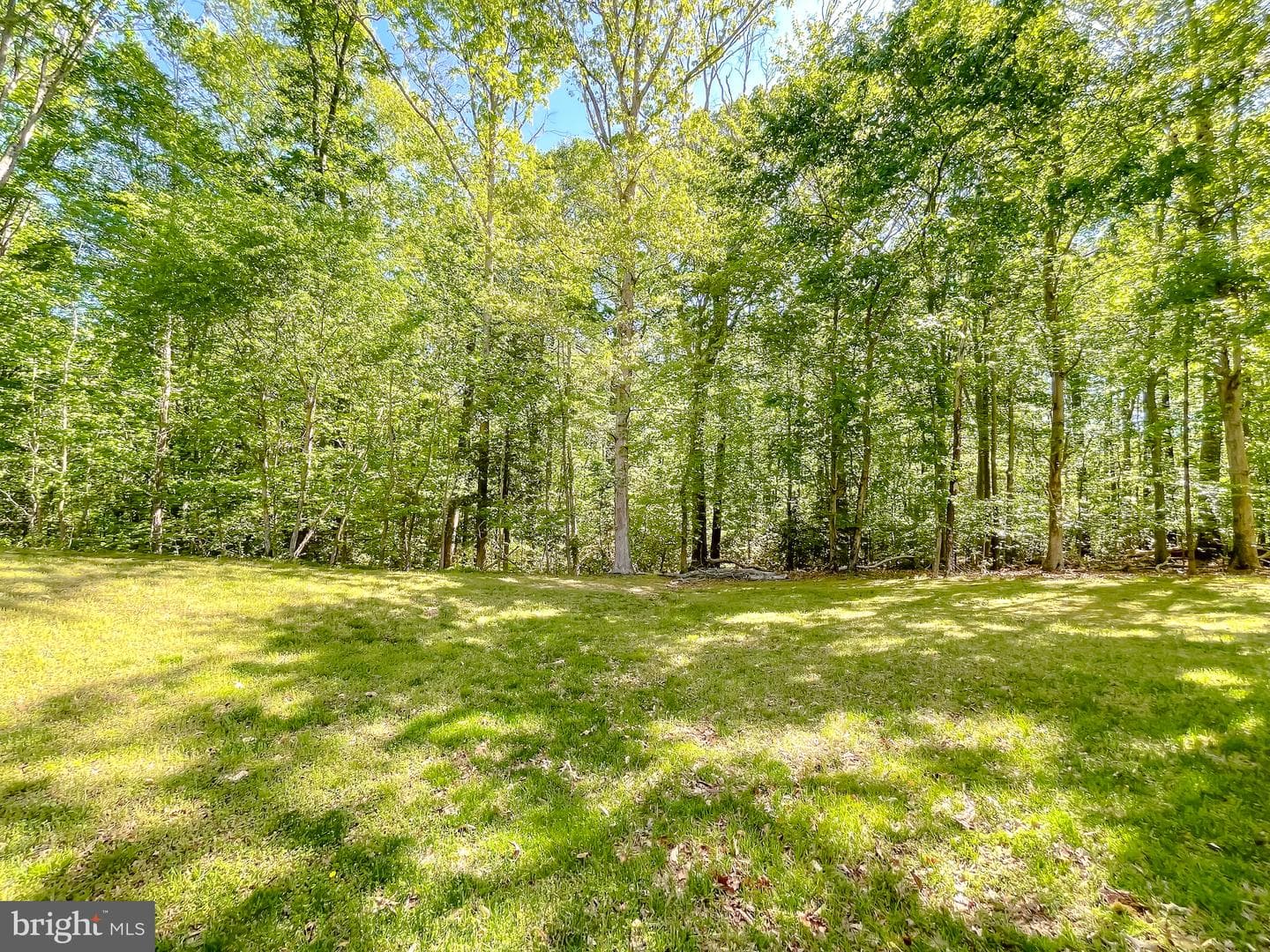 39316 Persimmon Creek Road photo 67