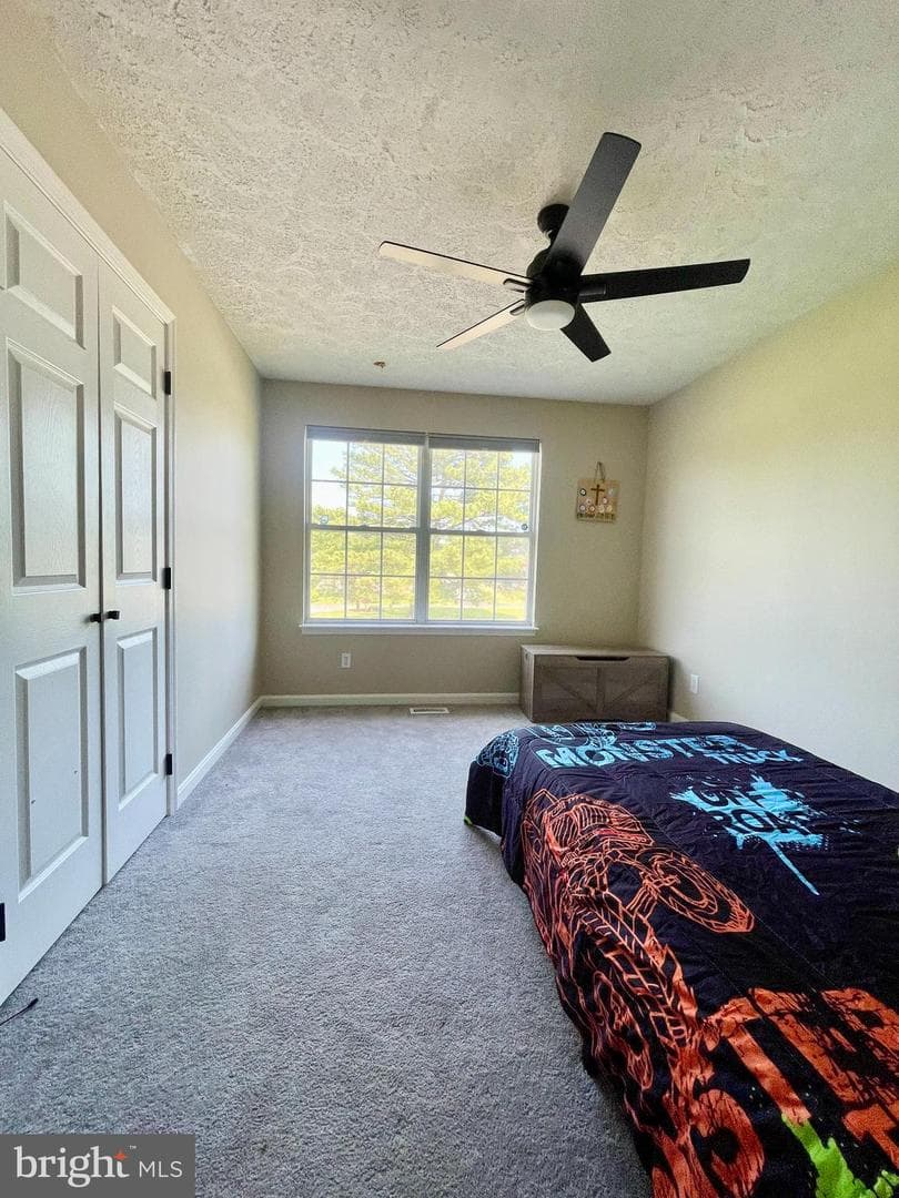 25795 Shamrock Lane photo 25