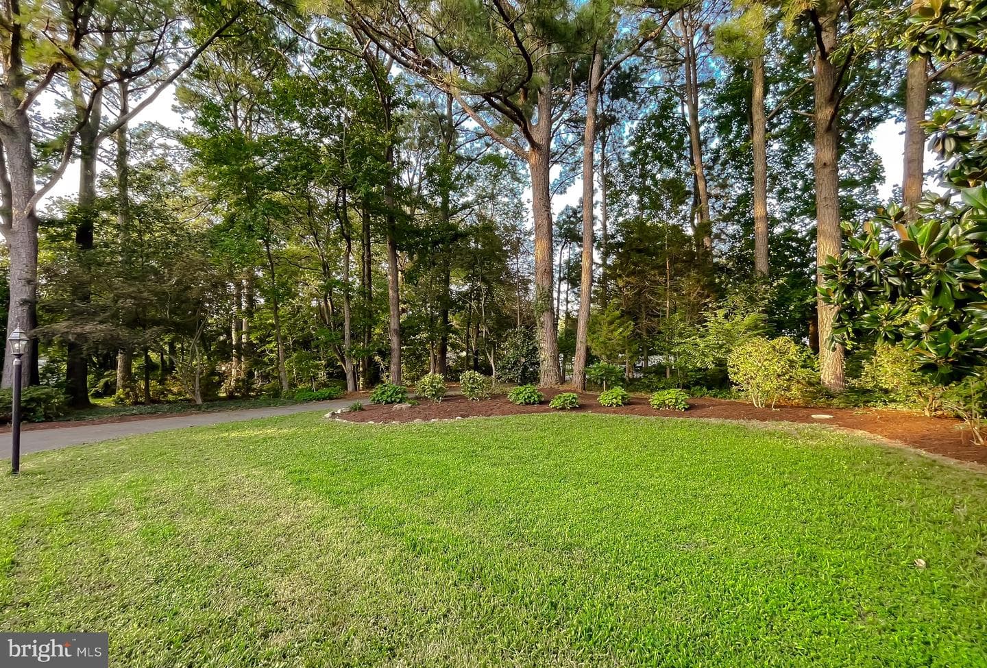 17727 Saint Inigoes Road photo 6