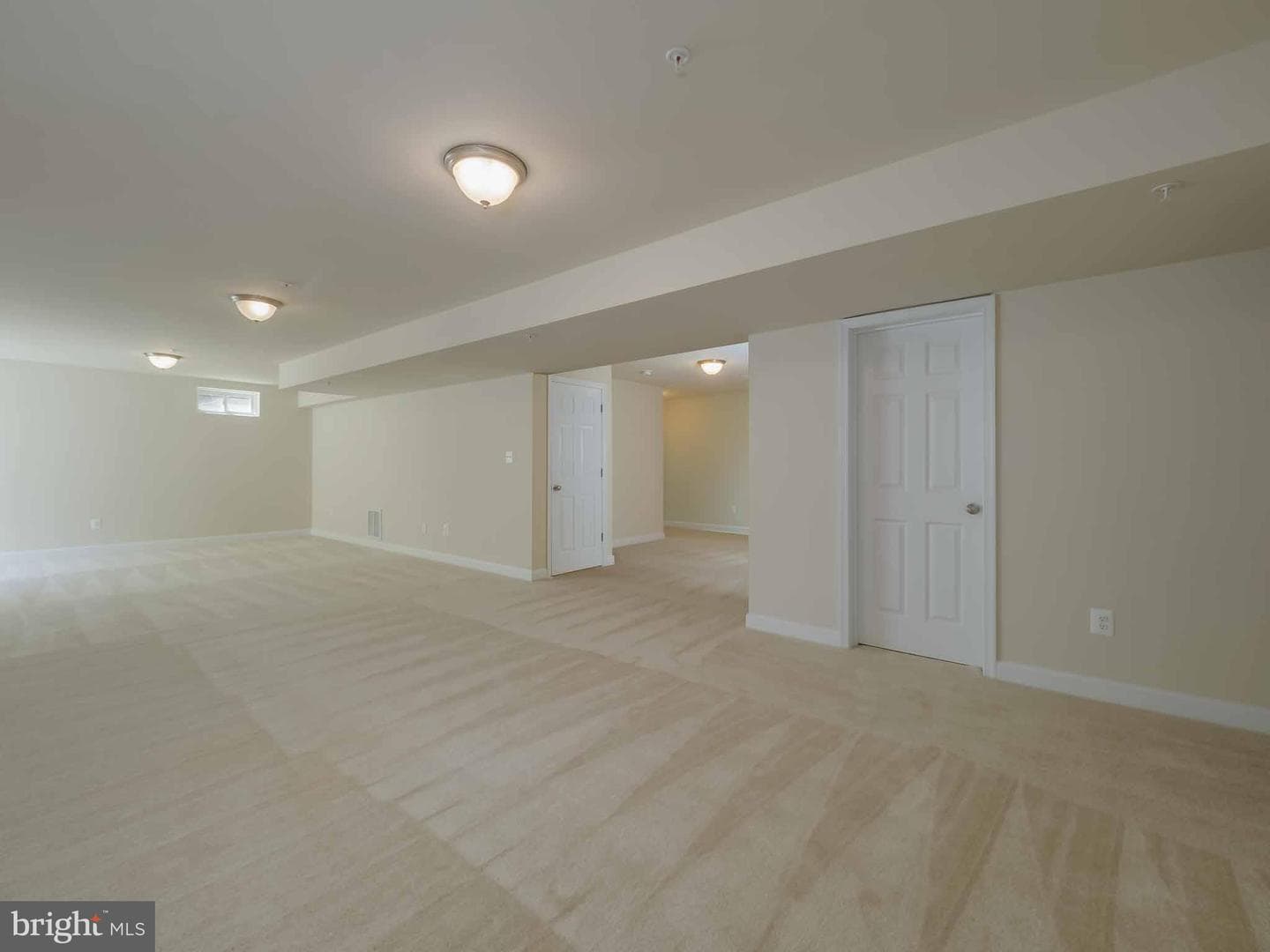 46234 Stasha photo 7