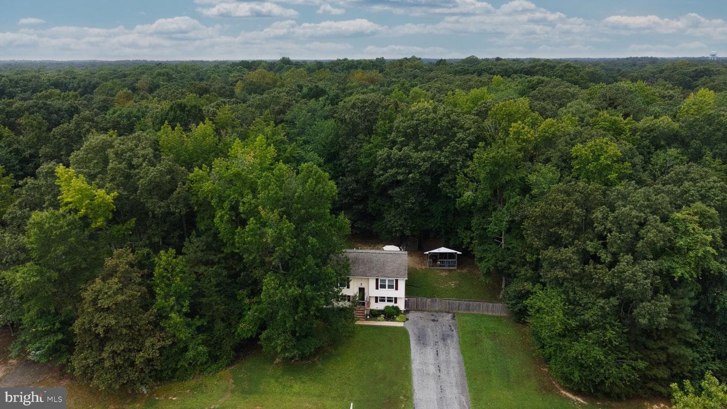 26599 Yowaiski Mill Road photo 53