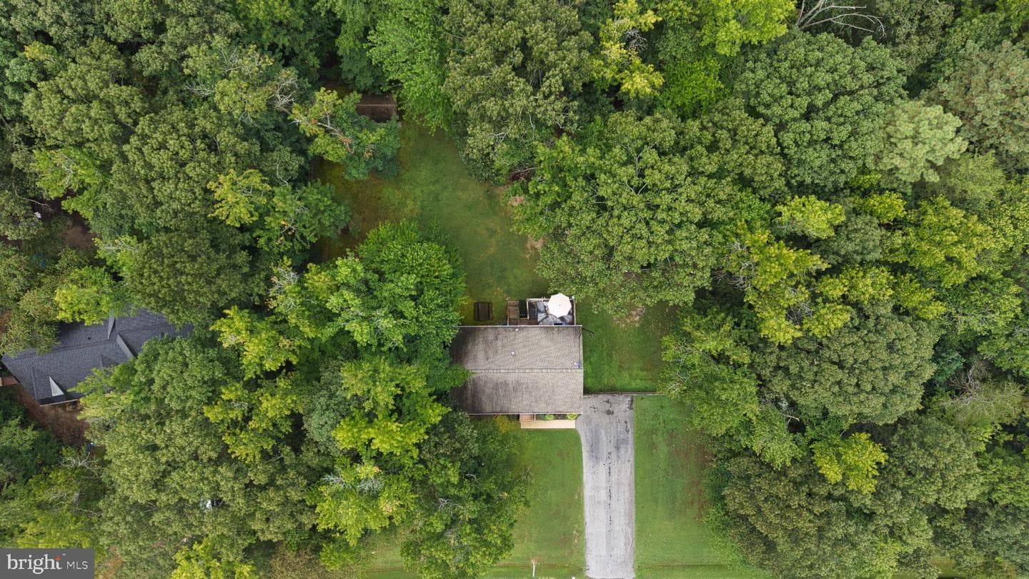 26599 Yowaiski Mill Road photo 54