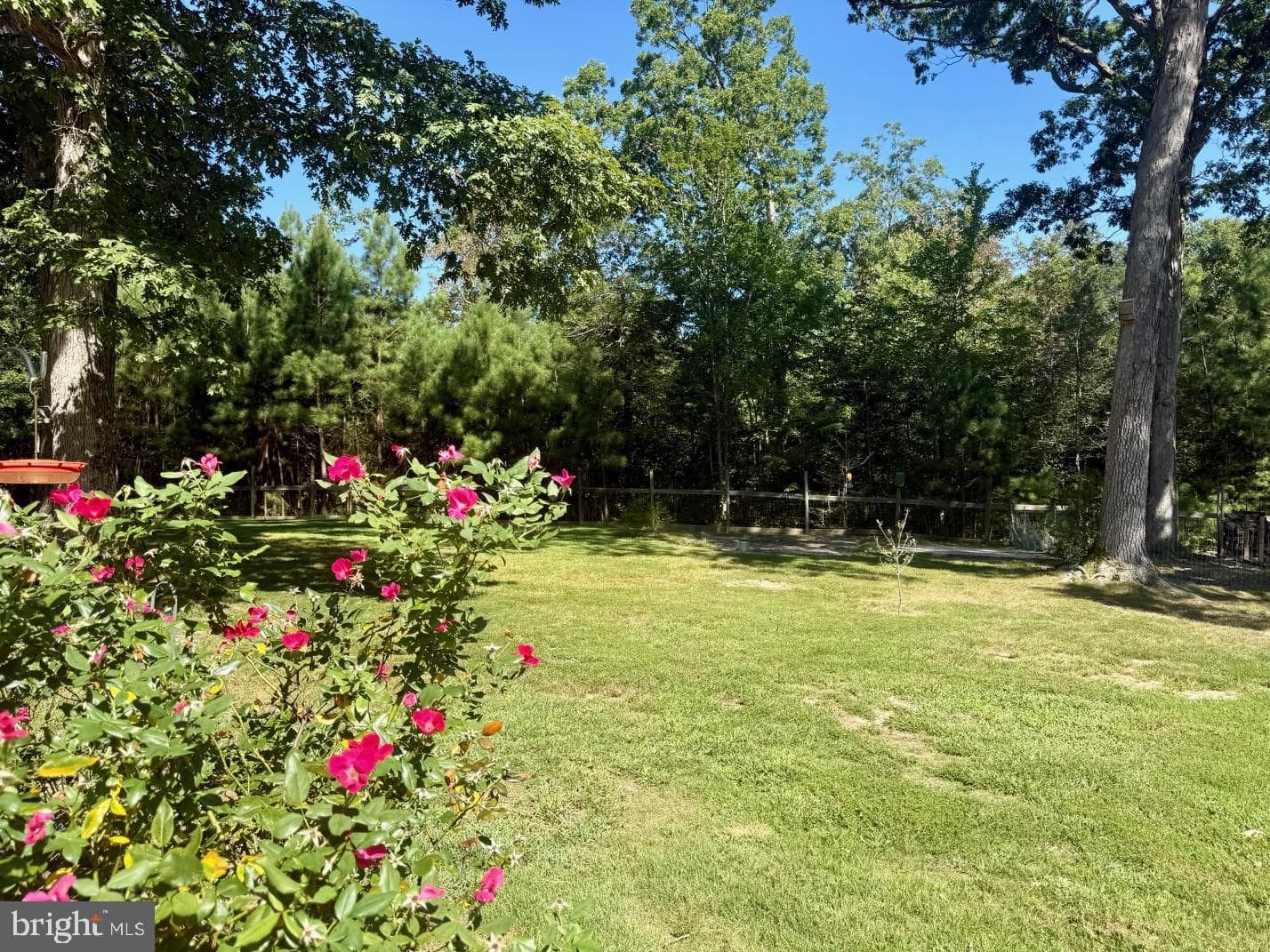 20413 Scarlet Tanager Way photo 30
