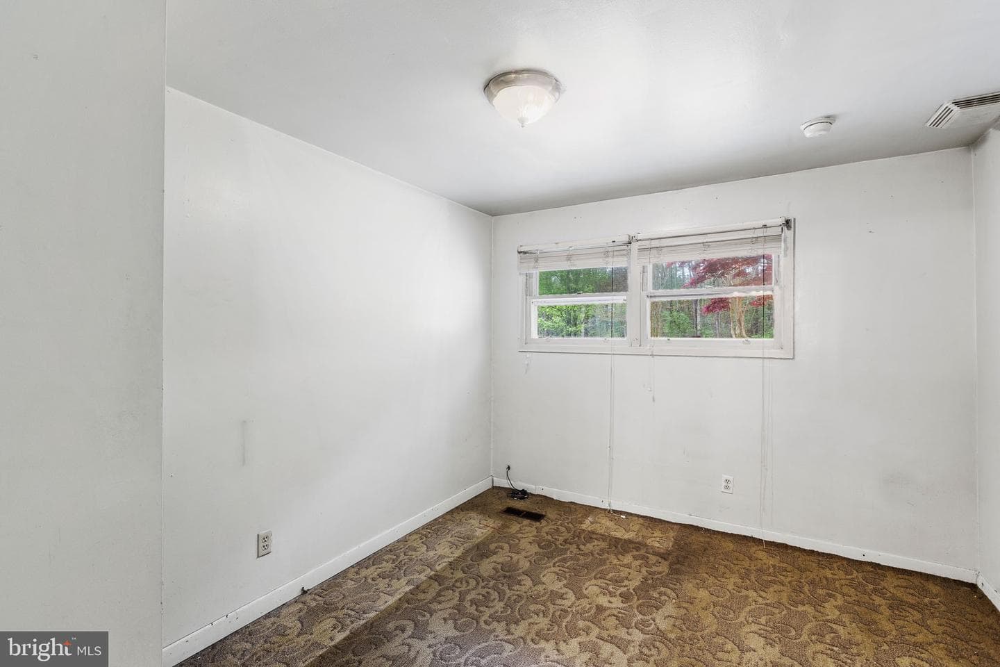 47938 Janet Lane photo 16