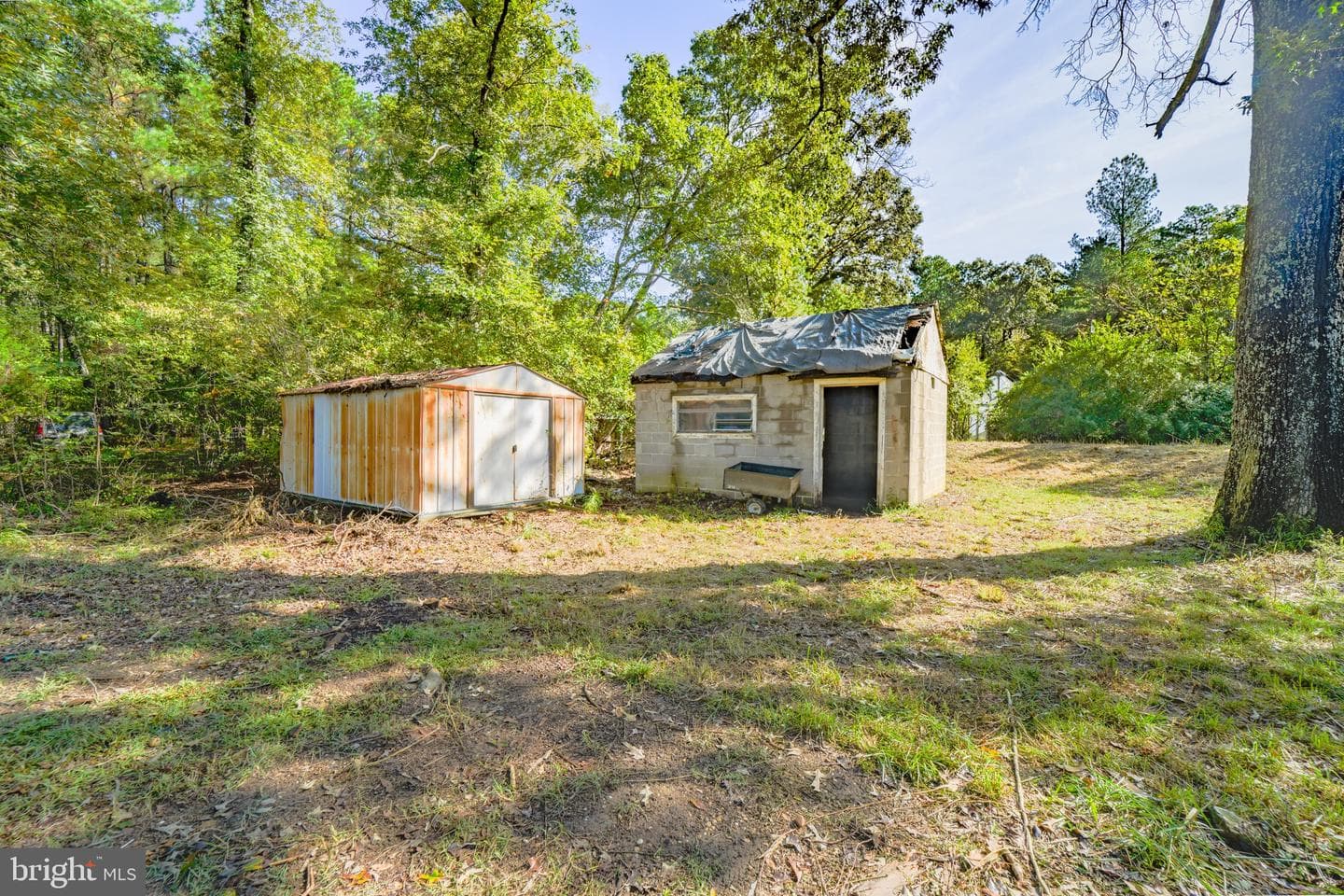 22466 Benswood Road photo 24