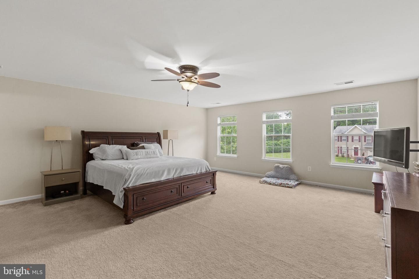 21398 Arum Place photo 14