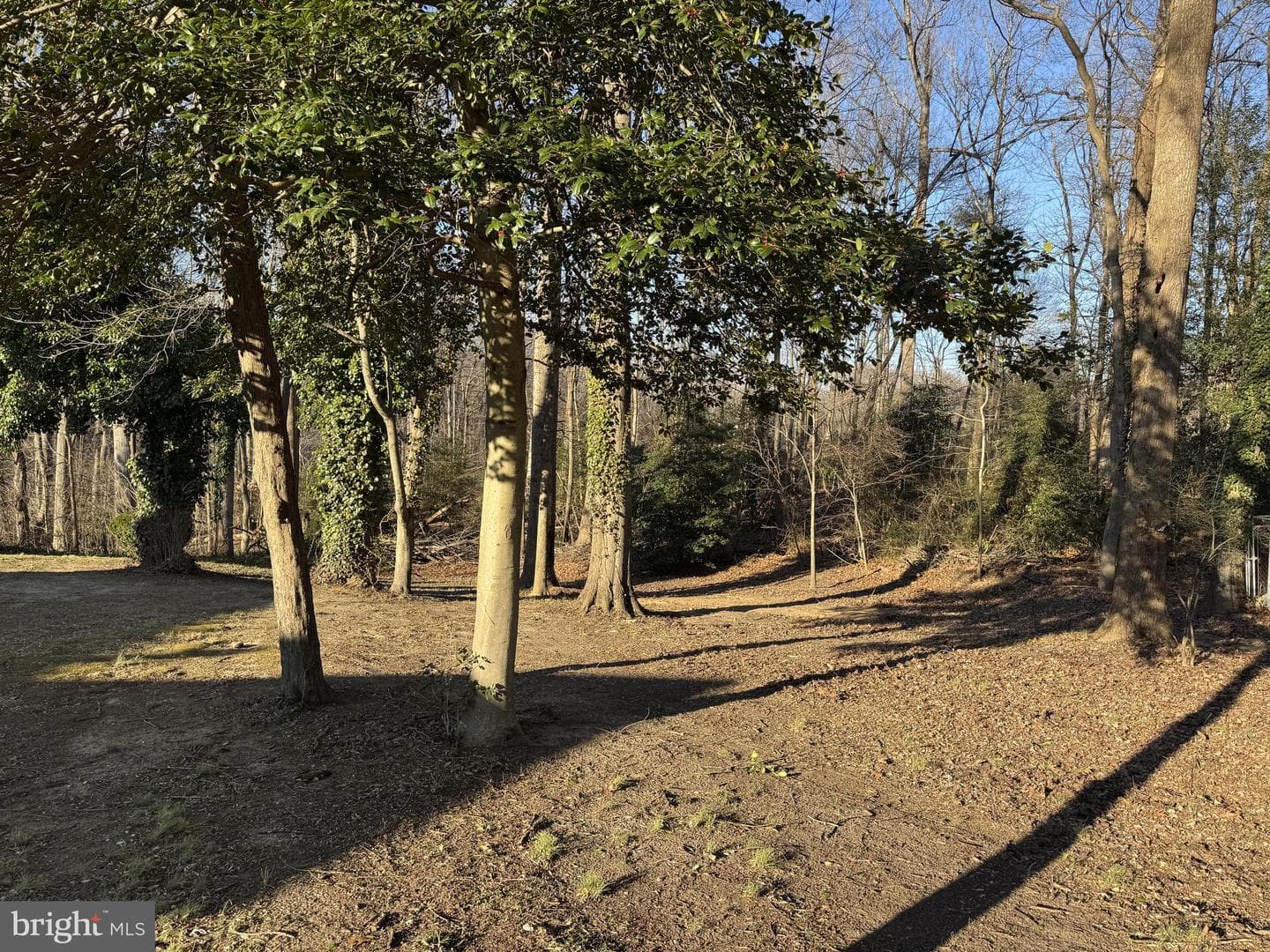 30170 Curtiss Road photo 34