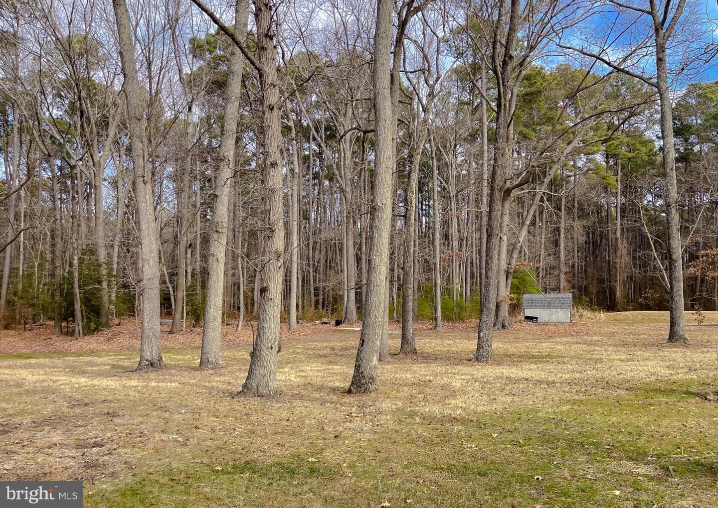 49078 Wynne Road photo 42