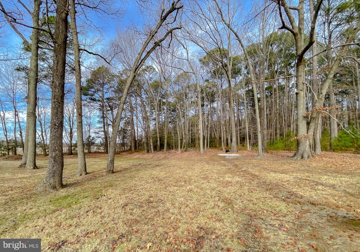 49078 Wynne Road photo 43