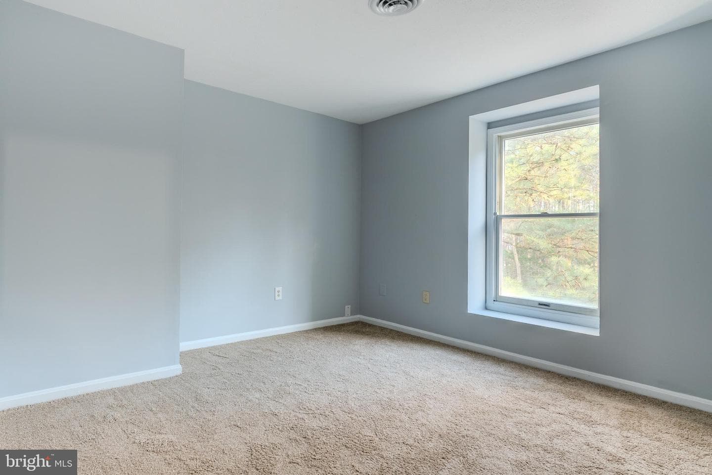 44826 Wood Duck Lane photo 16
