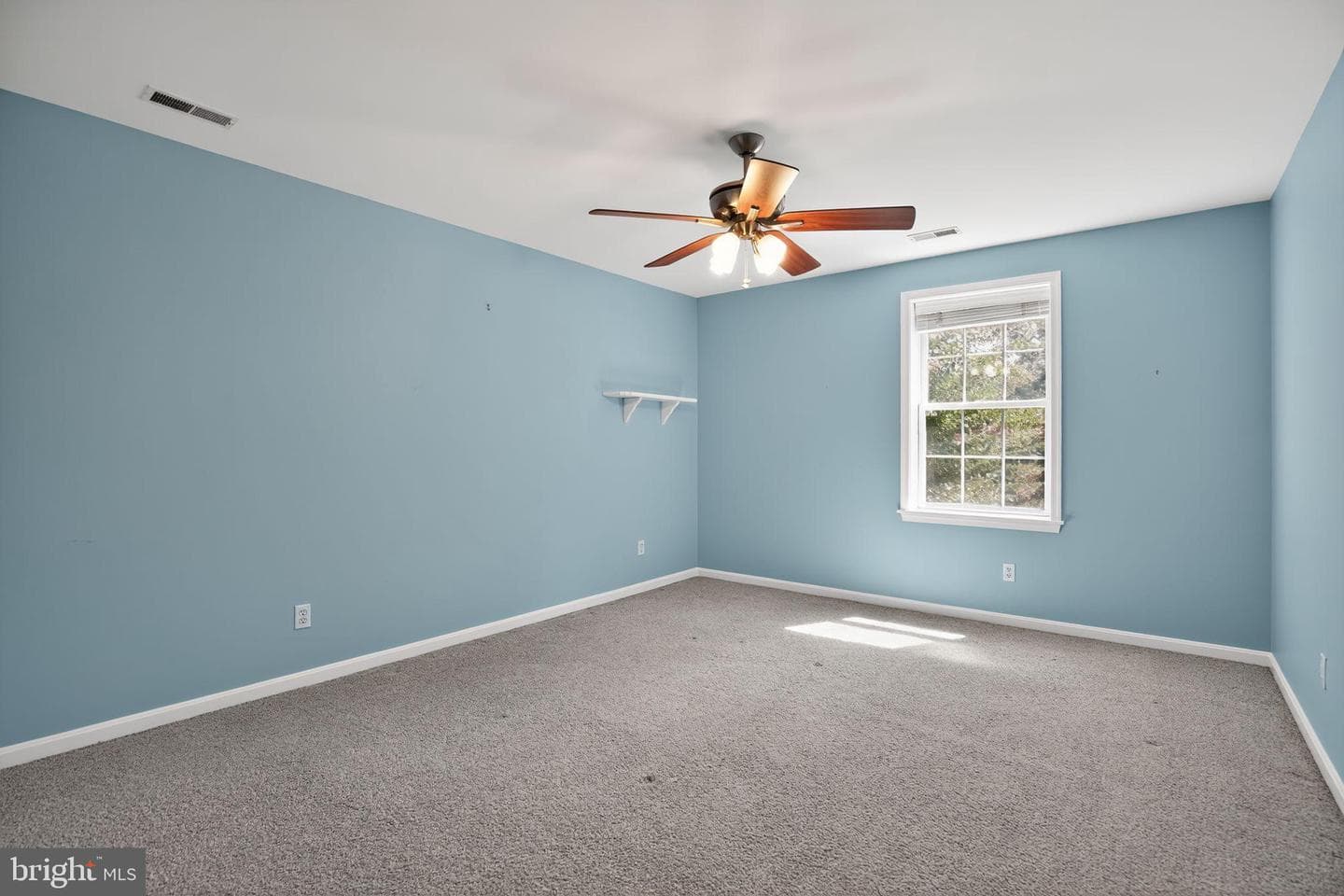 29542 Carol Lane photo 20