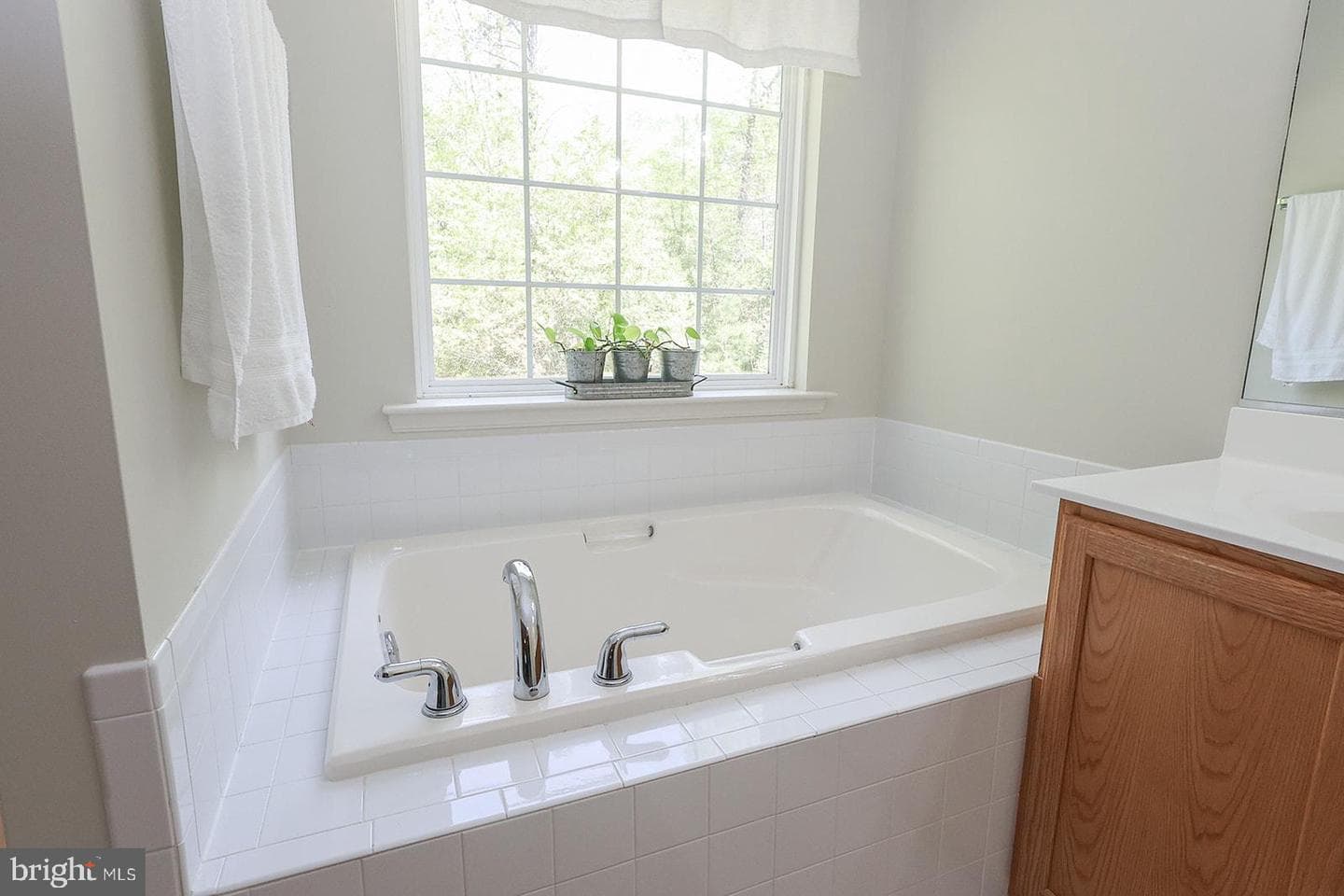24065 Pappys Way photo 56