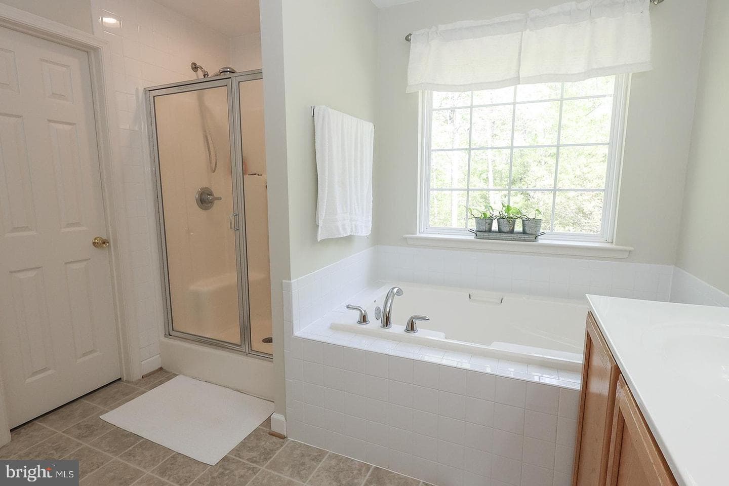 24065 Pappys Way photo 58