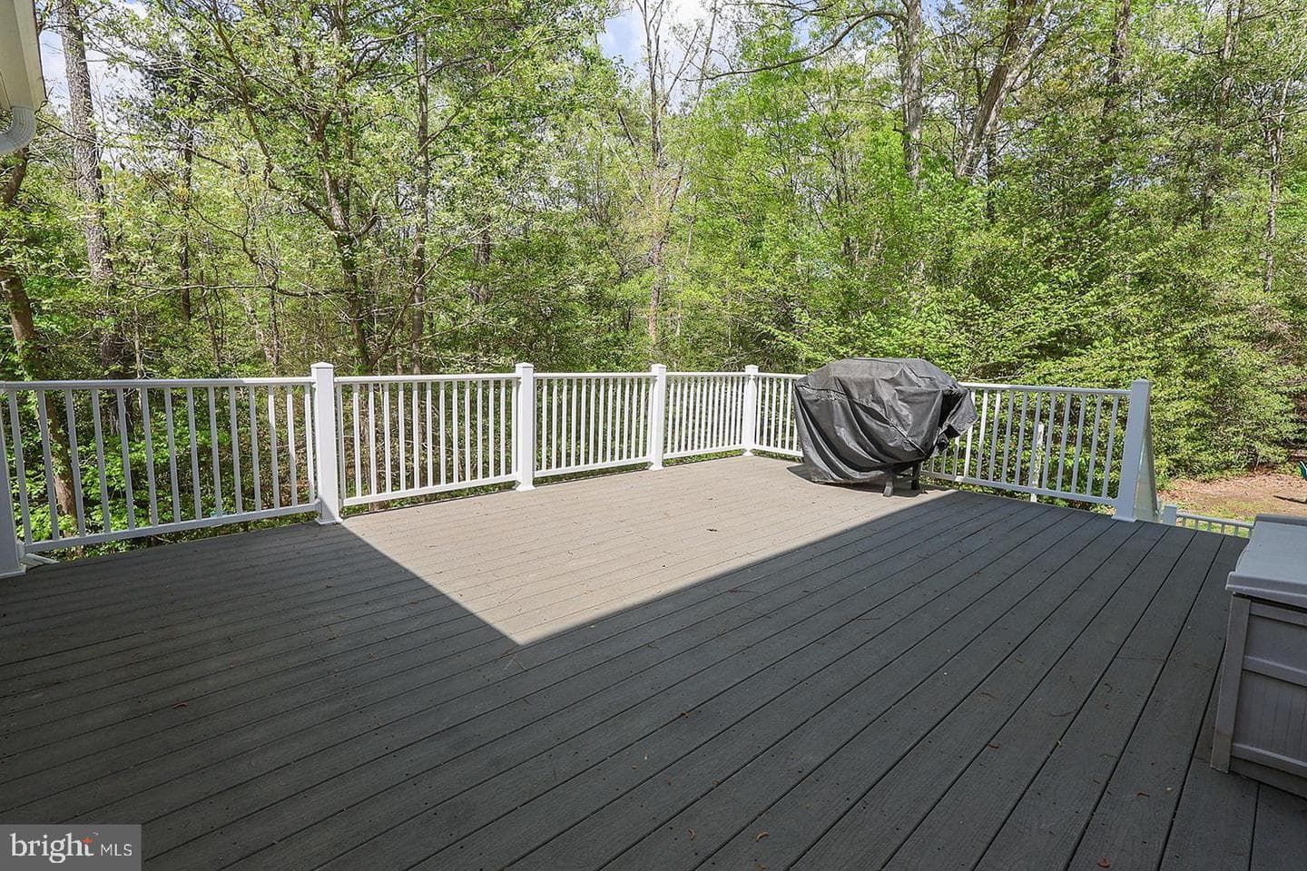 24065 Pappys Way photo 80