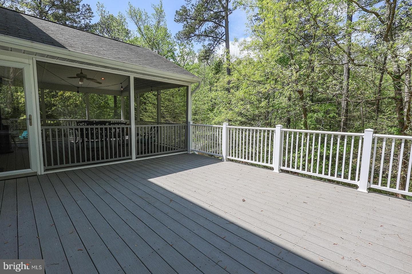 24065 Pappys Way photo 81