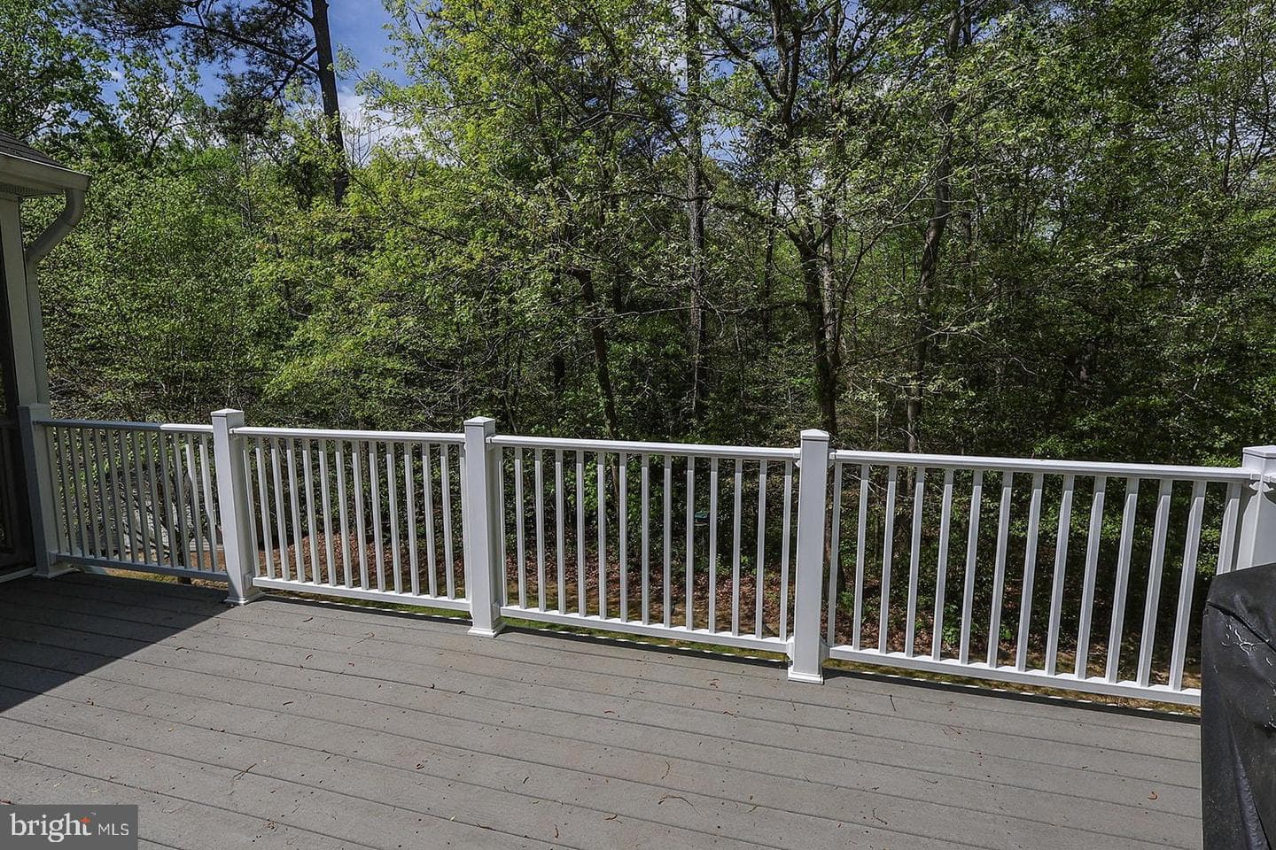 24065 Pappys Way photo 82