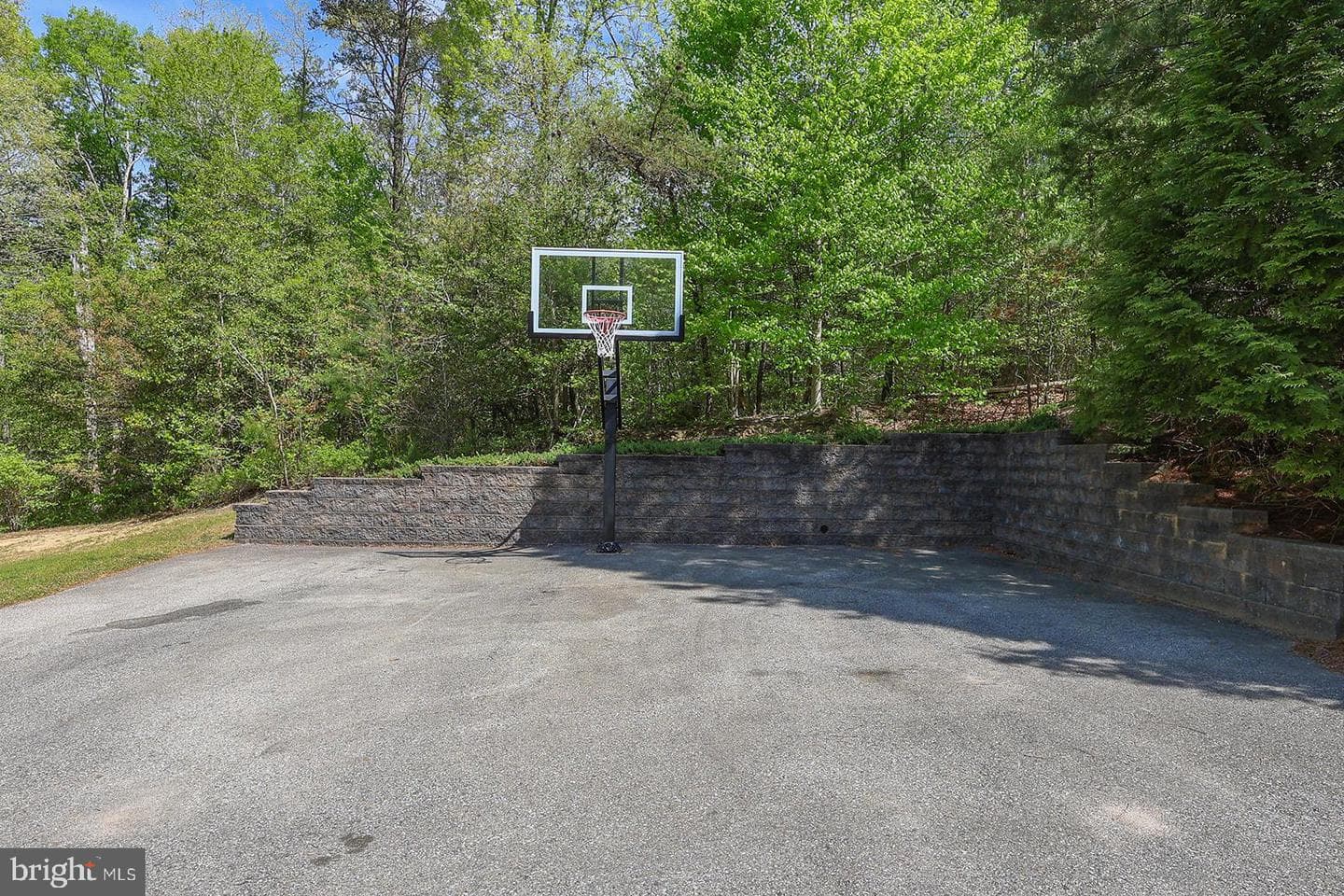 24065 Pappys Way photo 89