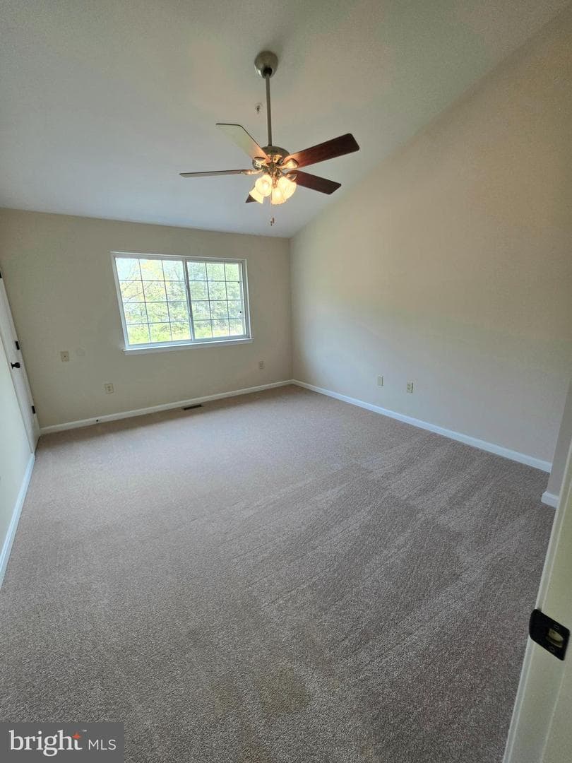 22098 Saint Inigoes Court photo 21