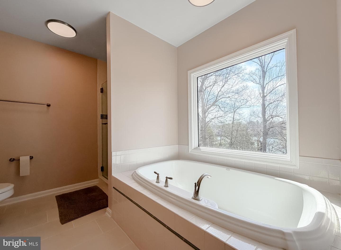 44731 Smiths Nursery Road photo 59