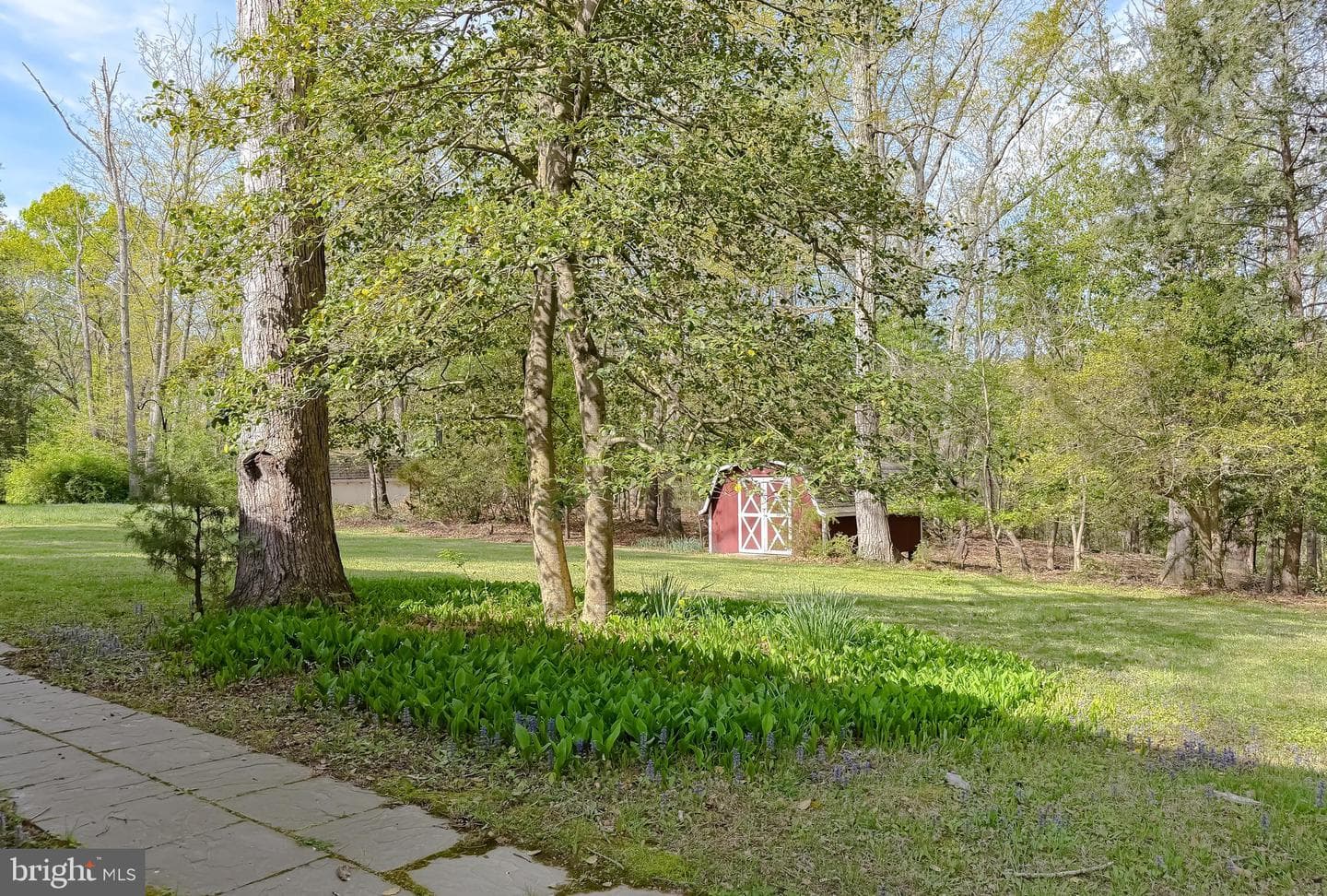 22925 Maple Road photo 45