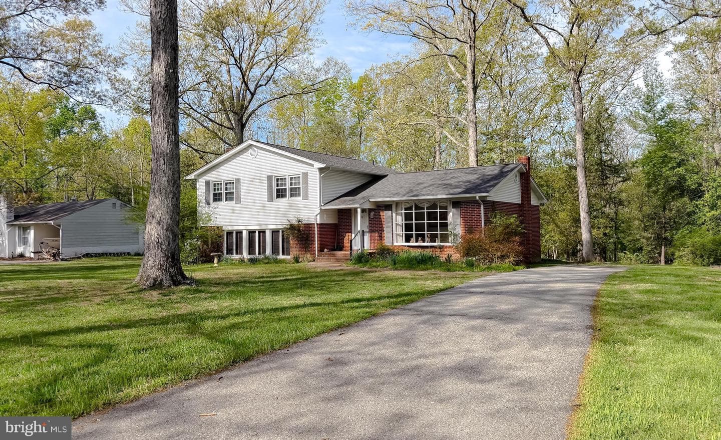 22925 Maple Road photo 5