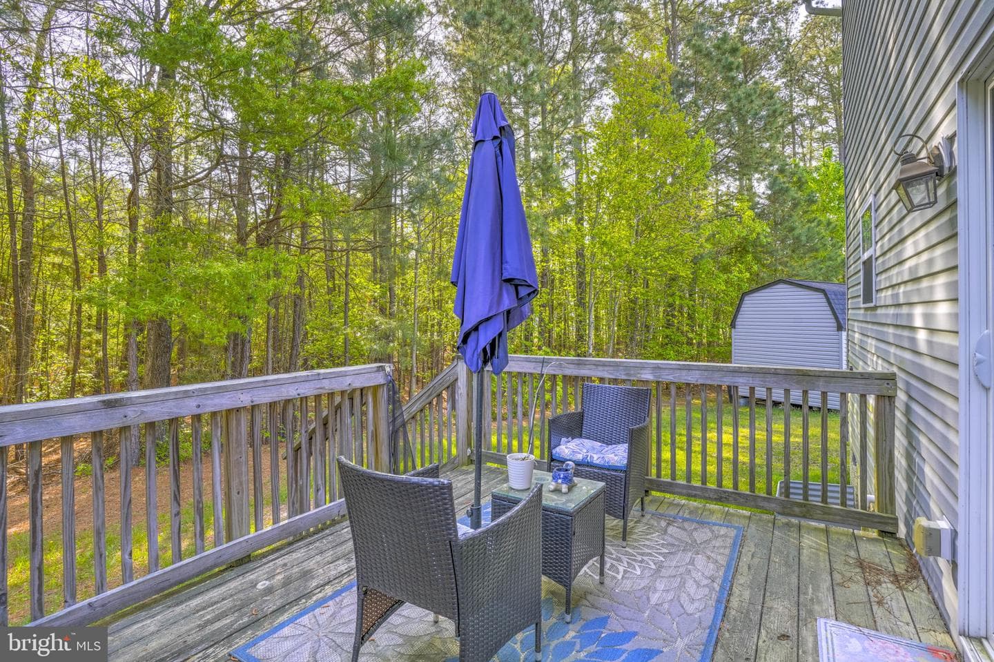 21364 Sundew Place photo 22