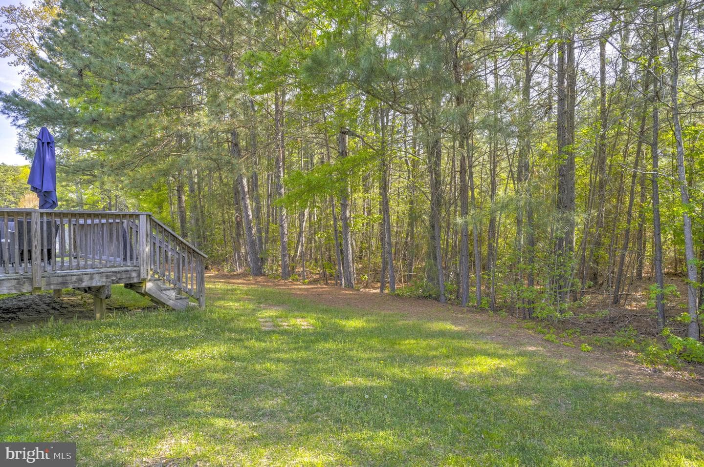 21364 Sundew Place photo 24