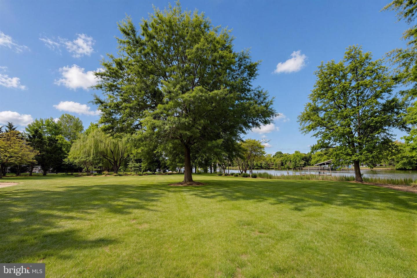 21045 Oakland Hall Road photo 59