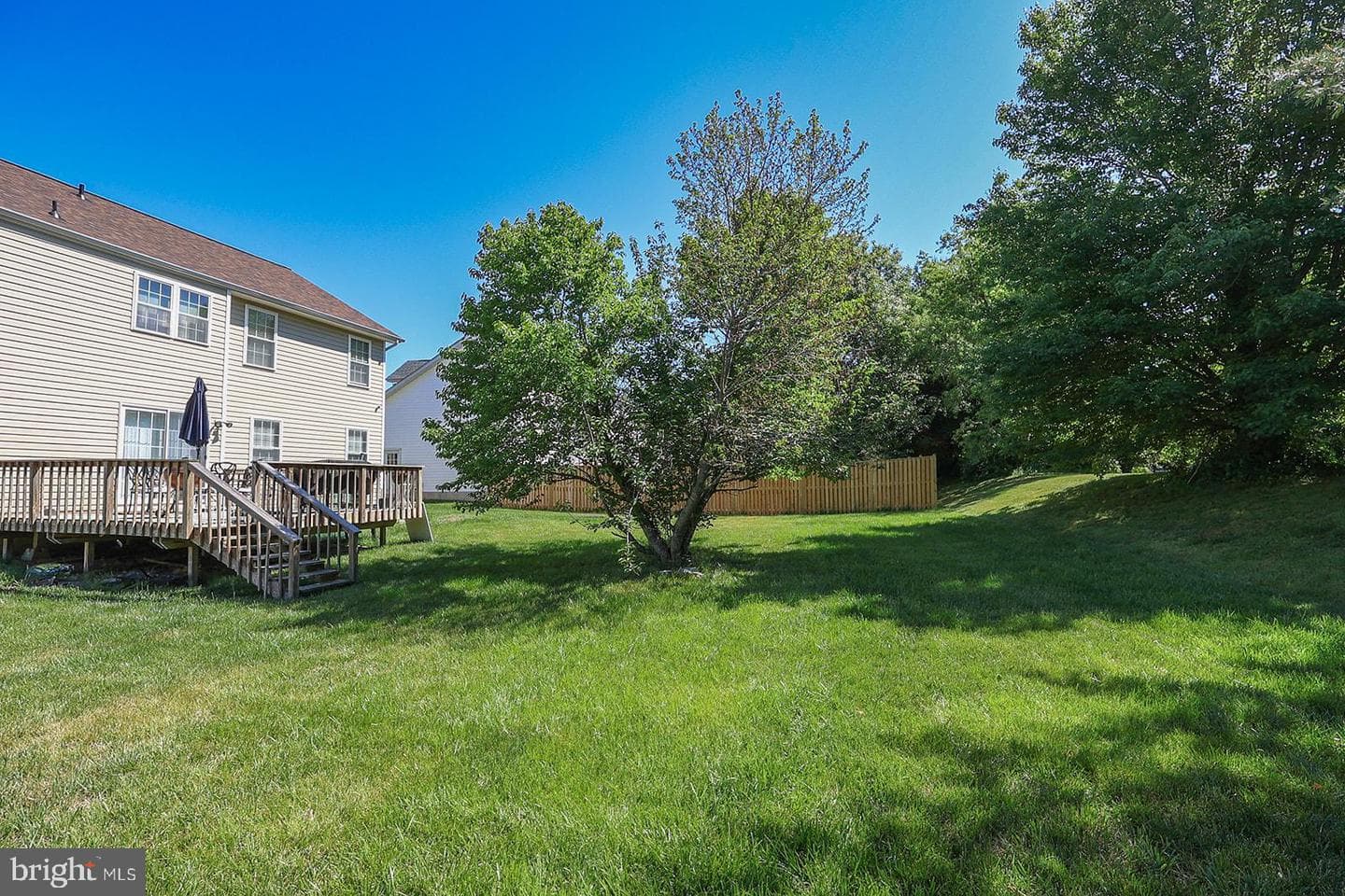 45525 Sunflower Street photo 63